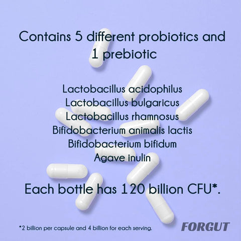 Probiotics and Prebiotics 60 Vegetable Capsules - for Women and Men. Specific Food Supplement for The Balance of The Intestinal Flora (4 Billion CFUs per Day/Portion)